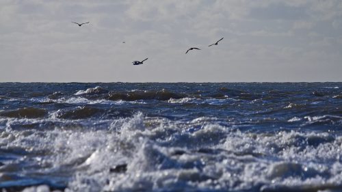 IMG_2946