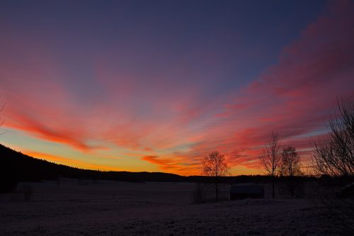 _MG_2961