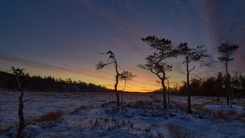 _MG_7448