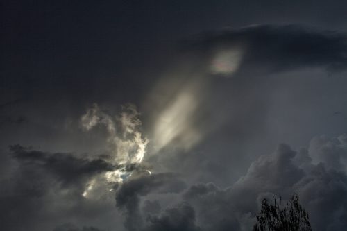 IMG 0357 (1)