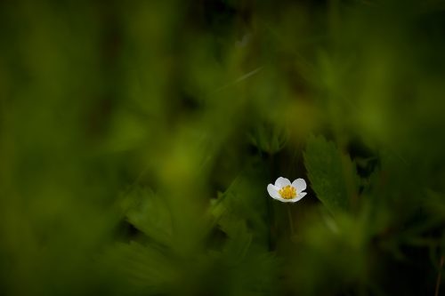 IMG 7618 (1) (1)